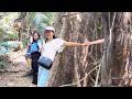 #วัดเขาบรรจบ อ.มะขาม จ.จันทบุรี #กราบพระพุทธชินราช#ชมต้นไม้ยักษ์ #เดินสะพานแขวน