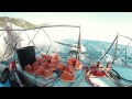 Andreas' Cruises - Perseas - Milos Pollonia