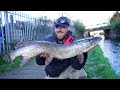 How To Unhook a Gut Hooked Pike!