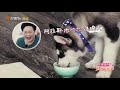 “Naughty” mother-in-law angers Annie.《婆婆和妈妈》 My Dearest Ladies S2