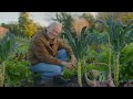 Spacing Details for Vegetables|| Charles Dowding