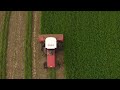Cutting Alfalfa from 2022