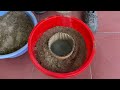 4 Cement Craft Ideas / Design Your Garden To Be Outstanding With Beautiful Flower Pots