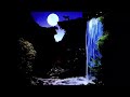 Relax calmly on the cliff hear the sound of the waterfall full moon