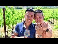 Theo's Wine Tasting Surprise Proposal