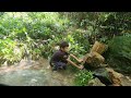 Full video: The boy and his brother built a bamboo house,survival  catch fish  and wild animals