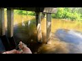 Dad Gone Fishing - using Carolina rig to fish under a bridge for bass