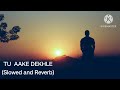 Tu Aake Dekhle Full Song(Slowed and Reverb) - King | Log Kehte Bechara Zara Puchon Toh Kyun Hara