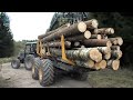 699 Extreme DANGEROUS Biggest Wood Logging Truck Operator Skill On Muddy Road