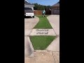 The Most Controversial Lawn on the Internet