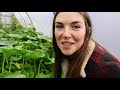 'COMPOST' with NO TURNING | BOKASHI REVEAL | FOOD FOREST PERMACULTURE FARM & NO DIG MARKET GARDENING