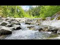 Creek In The Mountains | 10 Hr | Sounds For Sleep Study Focus And Relaxation