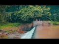 Tranquil River Sounds for Restful Sleep | Soothing Waterfall Nature Ambiance for Relaxation