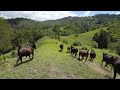 Touring Arcadia Farm -  Video 4