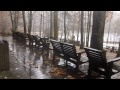 Rain Sounds : The Relaxing Nature Sound of Rain in Autumn. 2 Hours Long