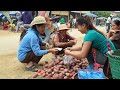 Harvesting Red Potatoes Goes To Countryside Market Sell - Animals Care | Phương Free Bushcraft