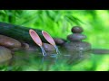 Relaxing piano music and bamboo fountain Nature sounds [stress, meditation, yoga music]