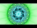 Mandelbrot Set Zoom - 