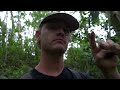 Scenic Maunawili Waterfalls Hike - Hawaii Vlog 2024