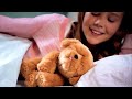 Little Live Pets | My Dream Puppy Snuggles 30'' TVC