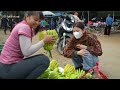 Harvesting Buddha's Hand Fruit Goes To Countryside Market Sell - Harvest salad greens