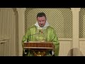 Daily Readings and Homily - 2024-06-23 - Fr. Patrick