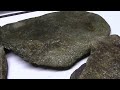 Sterilizing Rocks I Collected For My Aquarium