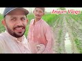 The most beautiful village life in Pakistan// Pakistani village vlog