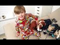 DRESSING UP ALL MY MINI LEMIEUX TOY PONIES! VLOGMAS