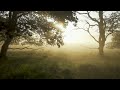 Relax, Focus & Concentration Music | Ambient Calming Meditation | Deep Sleep Soft Music | Playlist