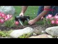 The Pond Guy® Product Video - PowerUV™ UV Clarifier - How to Get Rid of Green Pond Water