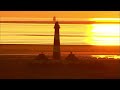 The North Sea - Nature Paradise in the Heart of Europe | Free Documentary Nature