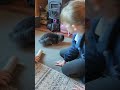 Rabbit Performs Flip Tricks With Cardboard Roll Mesmerizing Kids With Her Talent - 1500787