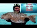 Top shot spearfishing No 6: Cubera snapper. Top chasse sous-marine No 6: Pagre  dispo.