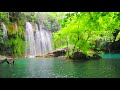 Relaxing Meditation Music - Bird Sounds, Water Sounds, Stress Relief Music, Sleep Music