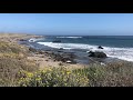 Piedras Blancas Elephant Seal Rookery June 5, 2021