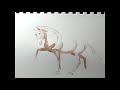 Watercolor Painting with Tina Schmidt - Ink and Watercolor Horse gesture