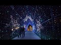 Retro Christmas 2023 Longwood Gardens 4K #botanicalgarden #christmas #retro #fountains