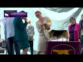 Pembroke Welsh Corgis | Breed Judging 2023