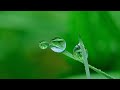 Beautiful Relaxing Music for Stress Relief | Romantic Music | Yoga and Meditations Mus...