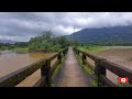 The most beautiful village in Kerala, India - Kudayathur