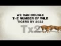 TX2 - Double The Number Of Tigers
