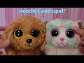 My Beanie Boo Couples!