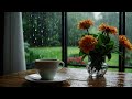 【作業用BGM】Bossa Nova Jazz BGM -Rainy Day Reflections/Chill