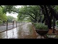 Insomnia solution - The refreshing sound of rain falling on the railroad tracks.