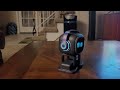 EMO Robot 1 Year Review - Desktop Pet #EMORobot #AI