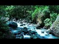 River sound relax for refreshing your mind upgrade immunity calming your life make comfort