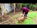 walking through the field picking some fruits on a cold and cloudy day 4K