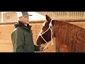 4 Winter Grooming Mistakes Horse Owners MUST Avoid