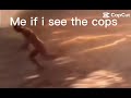 Me if I se the cops